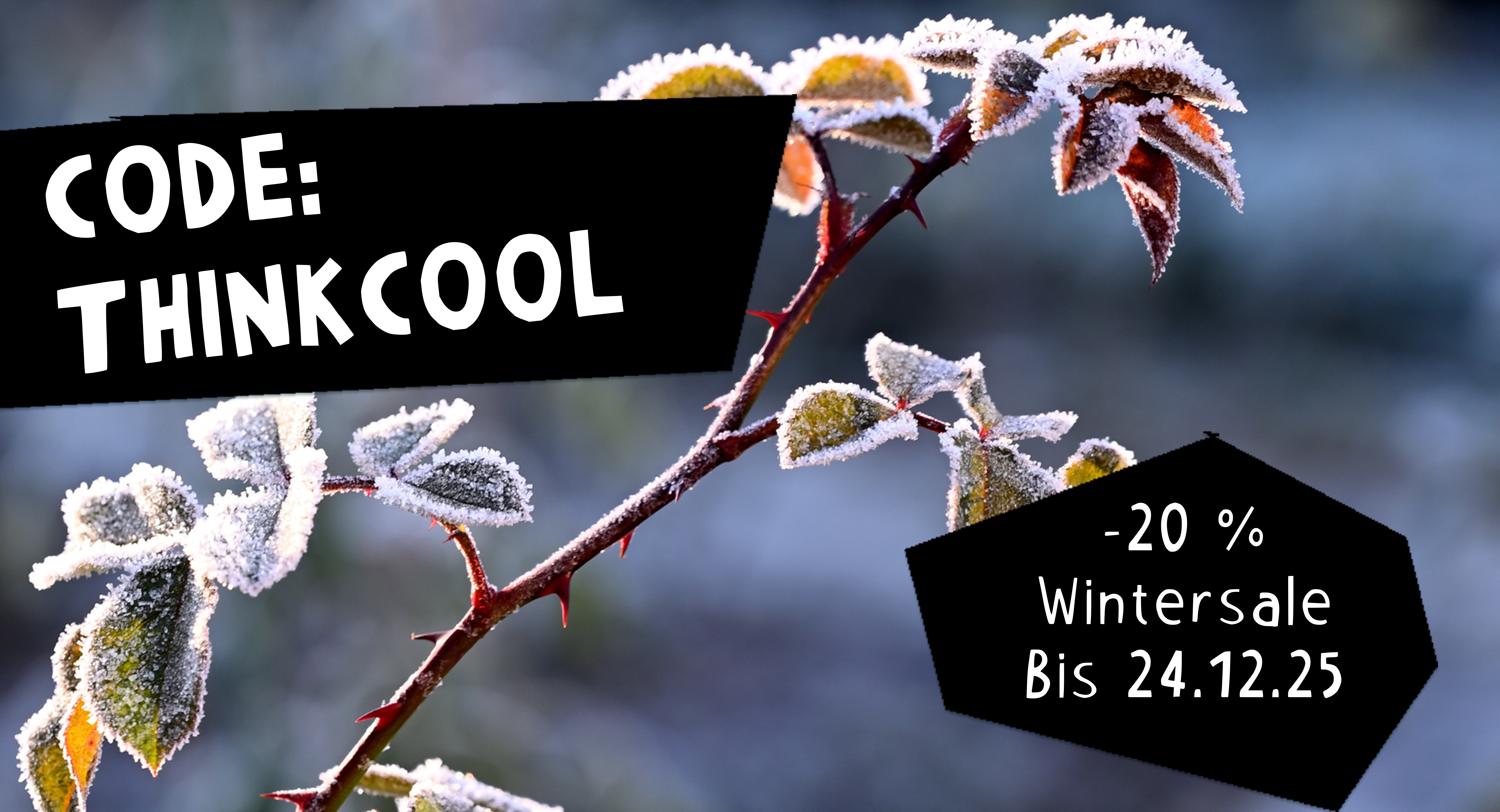-20 % Wintersale bis zum 24.12.25 mit dem Code: THINKCOOL