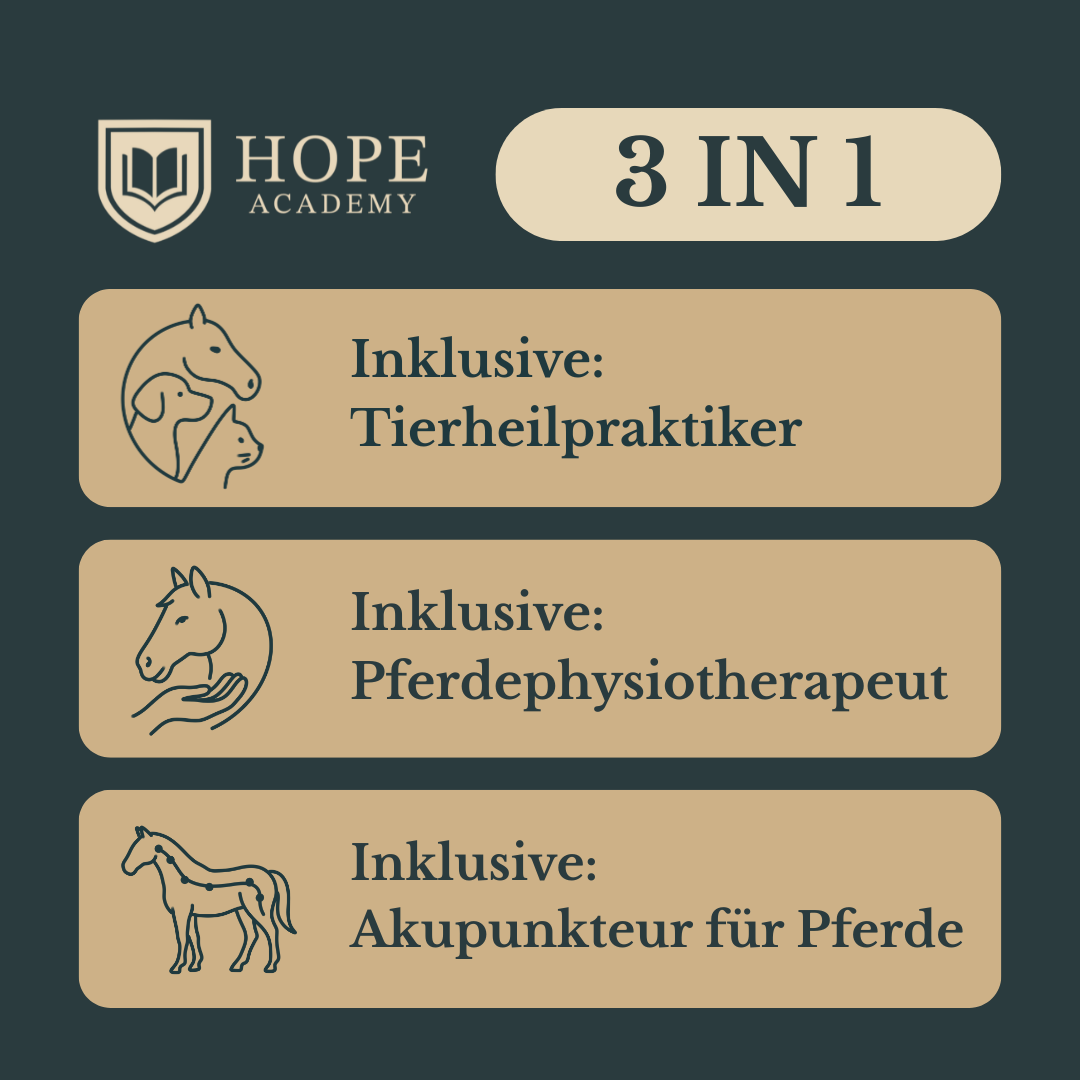 Fernstudium Tierheilpraktiker, Pferdephysiotherapeut, Akupunkteur für Pferde