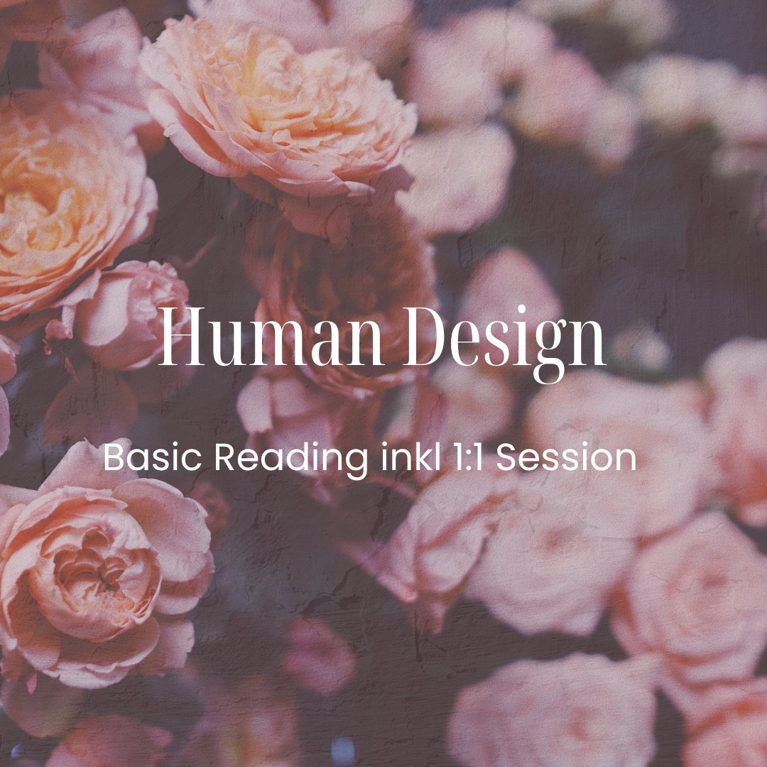 Human Design Basic Reading inkl 1:1 Session & PDF