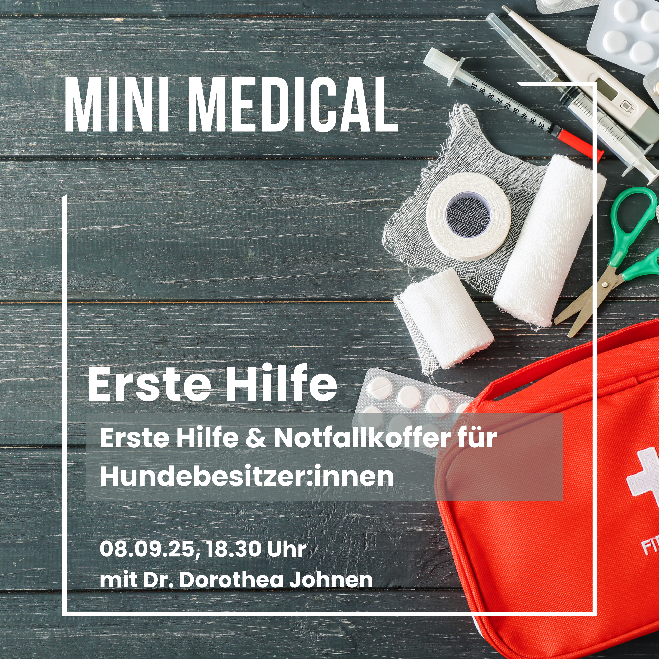 Erste Hilfe für Hundebesitzerinnen