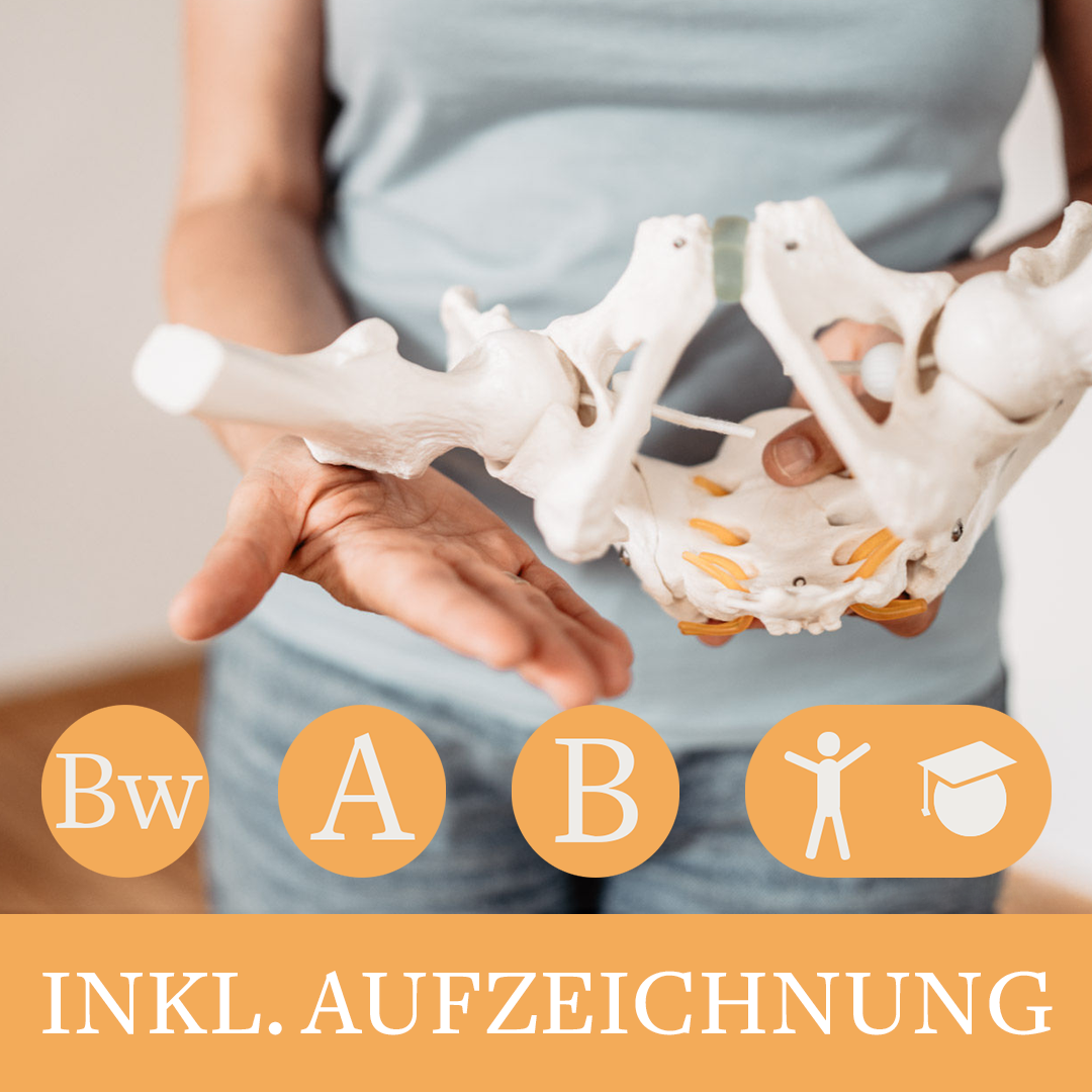 Beckenbodenmodell und textliche Hinweise "inkl. Aufzeichnung" sowie Icons zu den Einzelmodulen des Gesamtlehrgangs