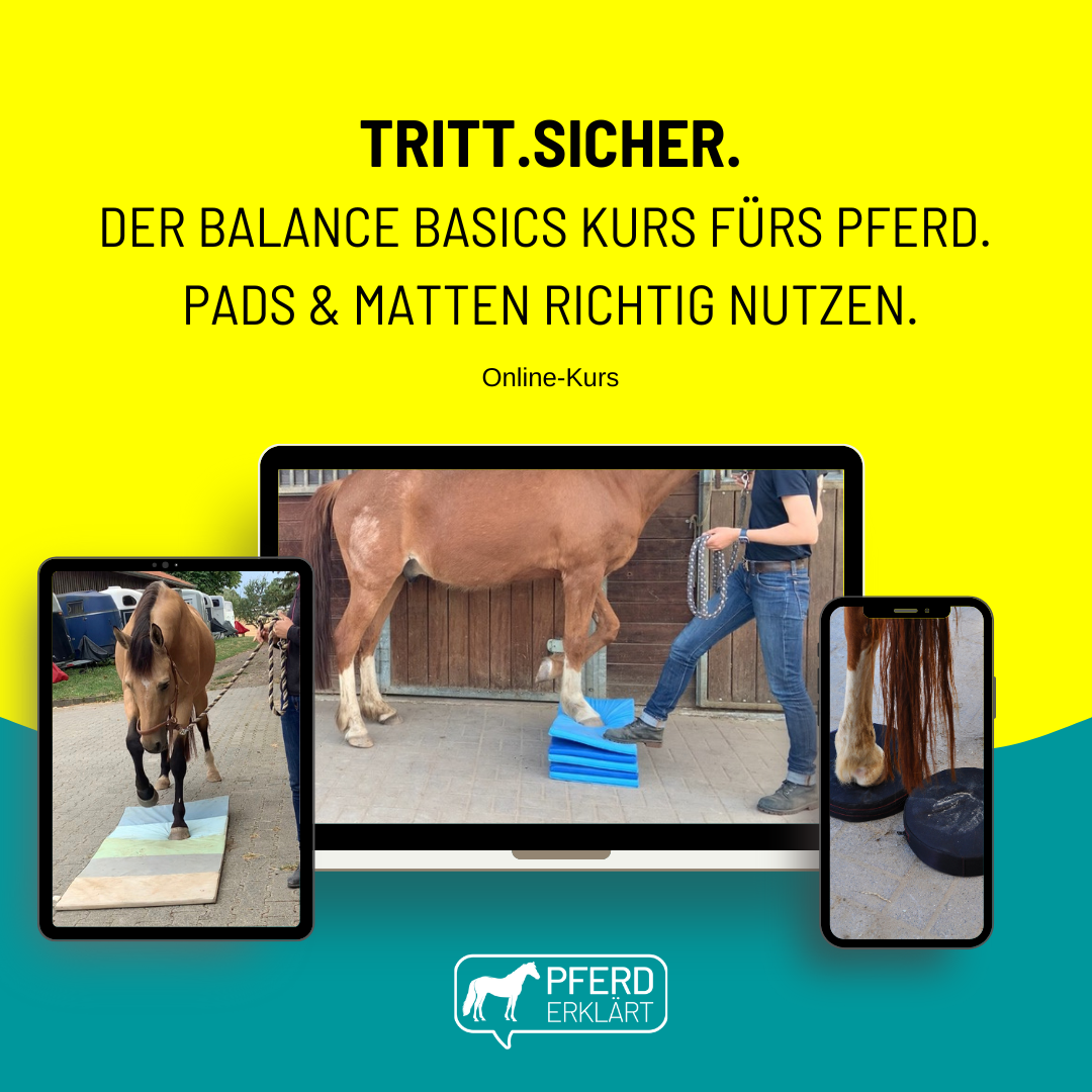 Cover zum Online-Kurs "Tritt.Sicher" von Pferd erklärt.