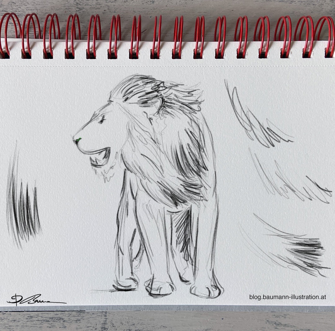 Tiere zeichnen - deutschsprachiges Webinar - BaumannIllustration