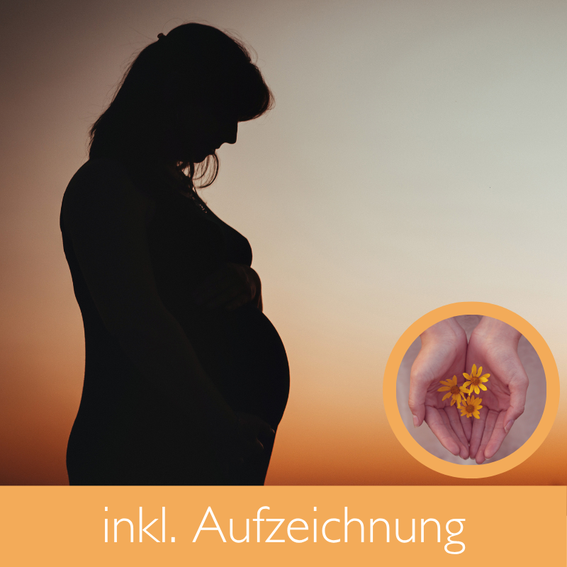 Silhouette einer schwangeren Frau