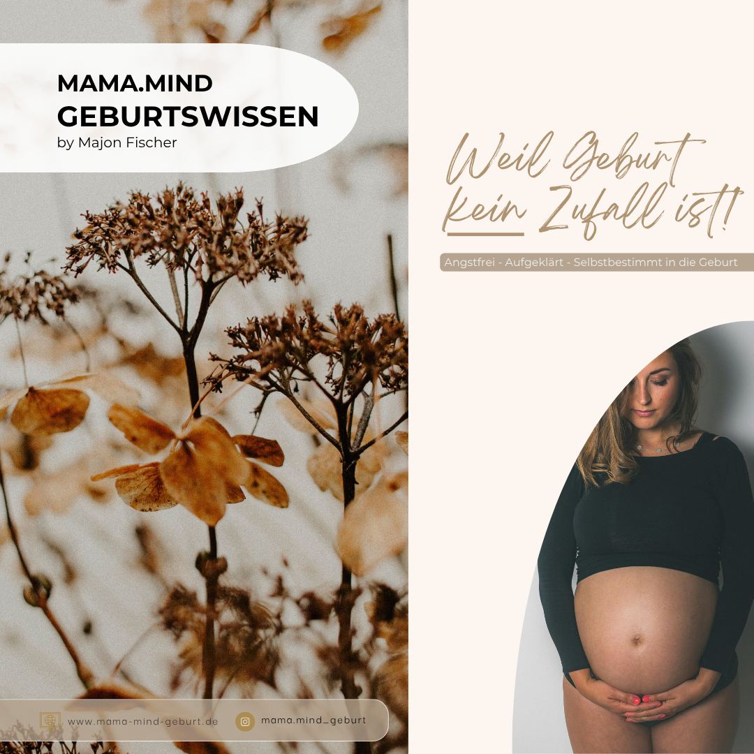 GEBURTSWISSEN - Weil Geburt kein Zufall ist!