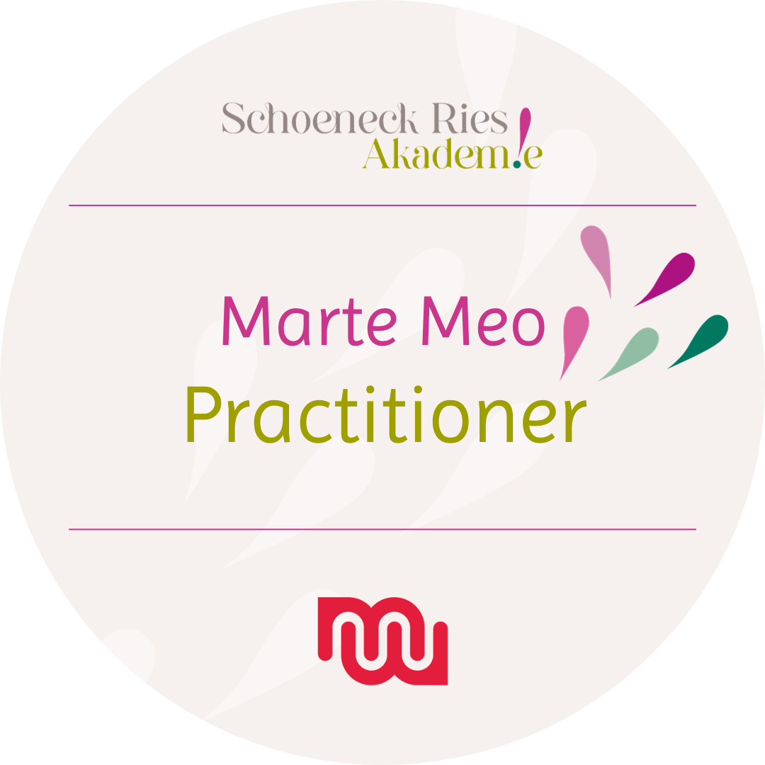 Marte-Meo-Practitioner.png
