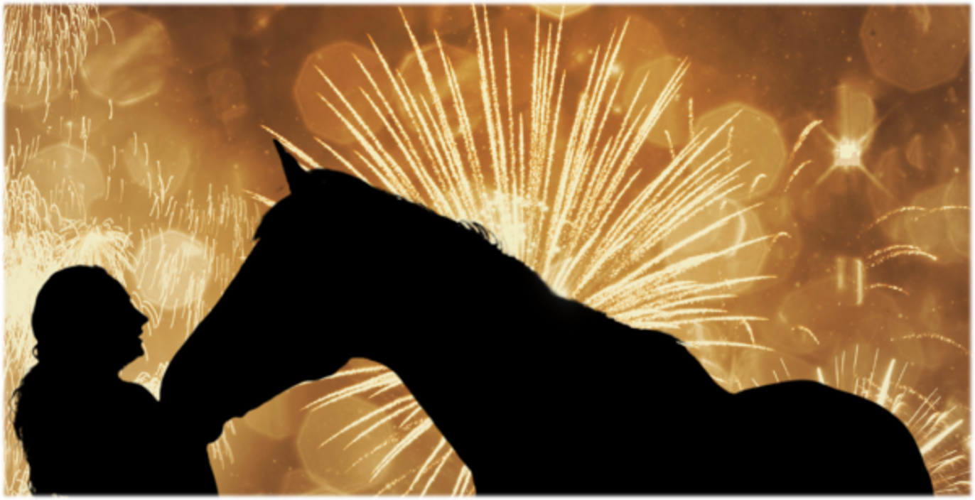 Silvester Rettungsanker