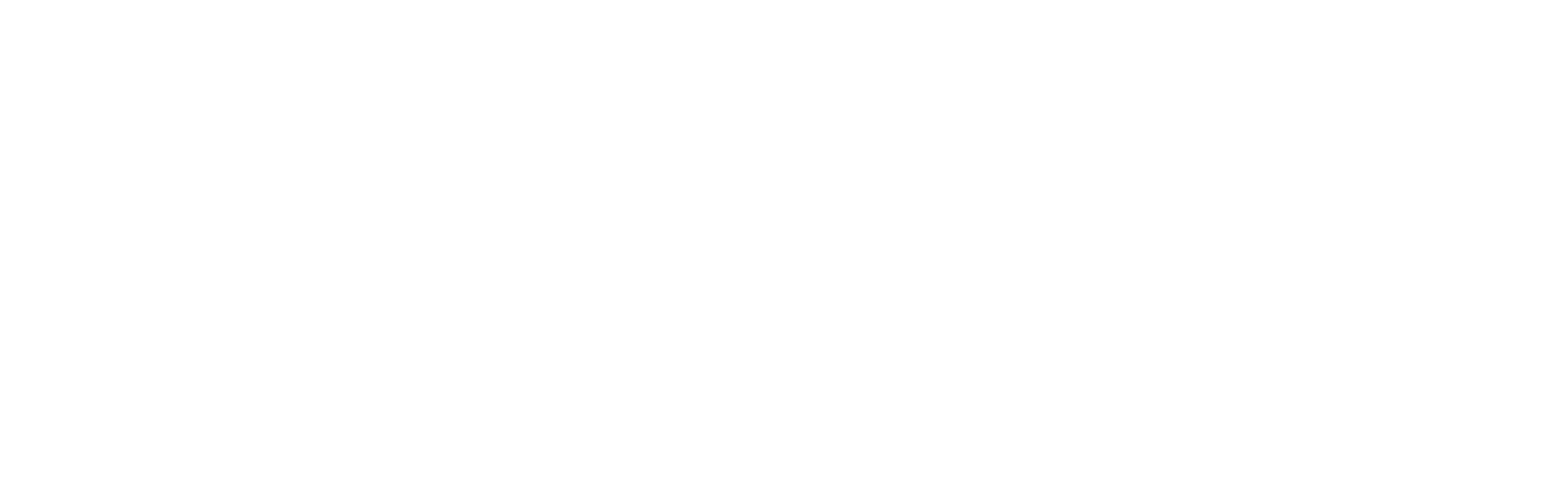 SoulStyleLove Logo