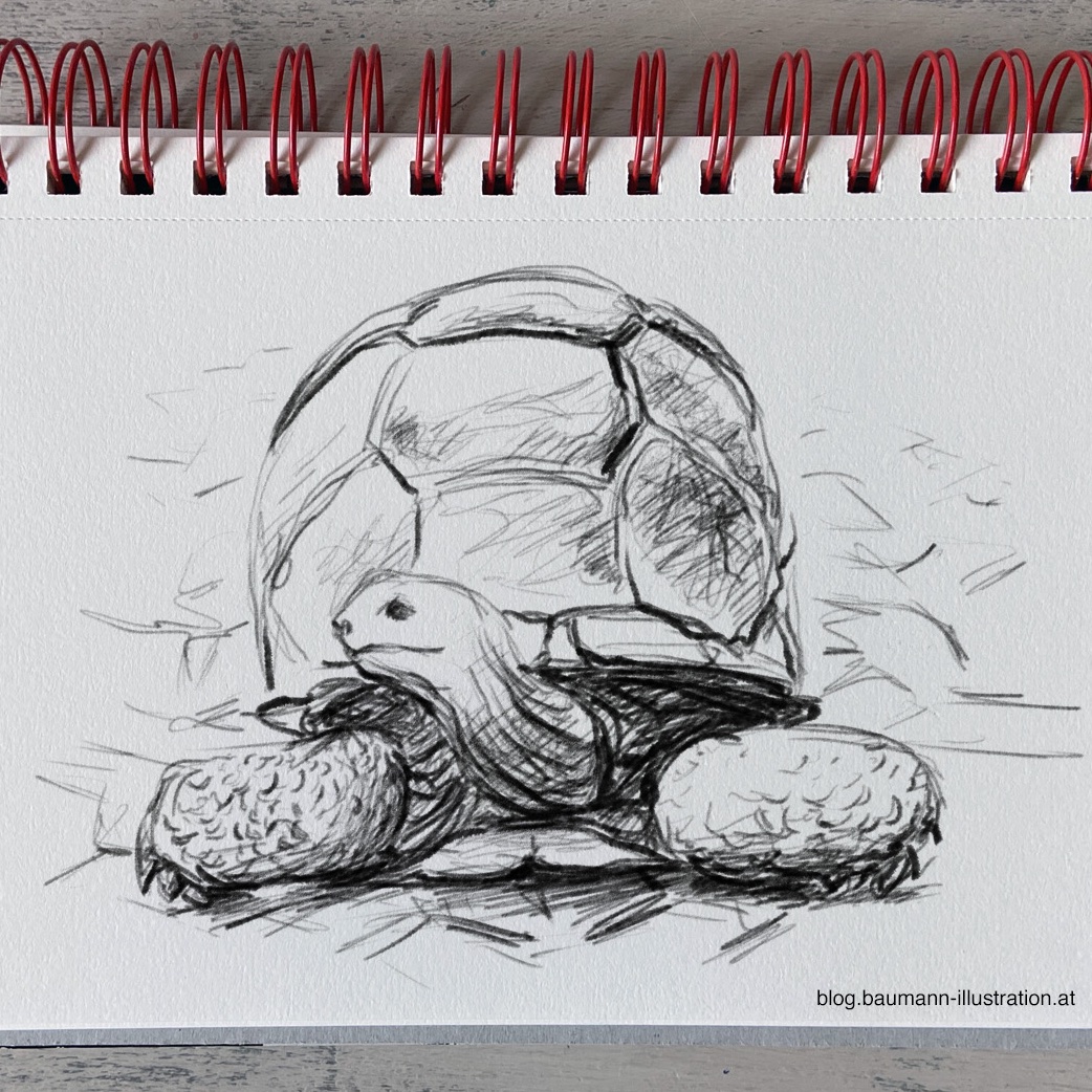 Tiere zeichnen - deutschsprachiges Webinar - BaumannIllustration