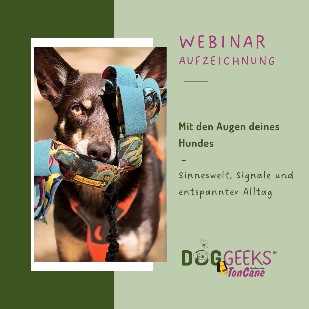 mit den Augen deines Hundes Cover
