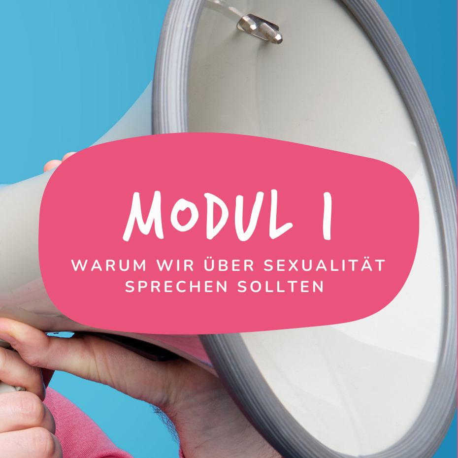 Online Kurs Kindliche sexuelle Entwicklung elopage