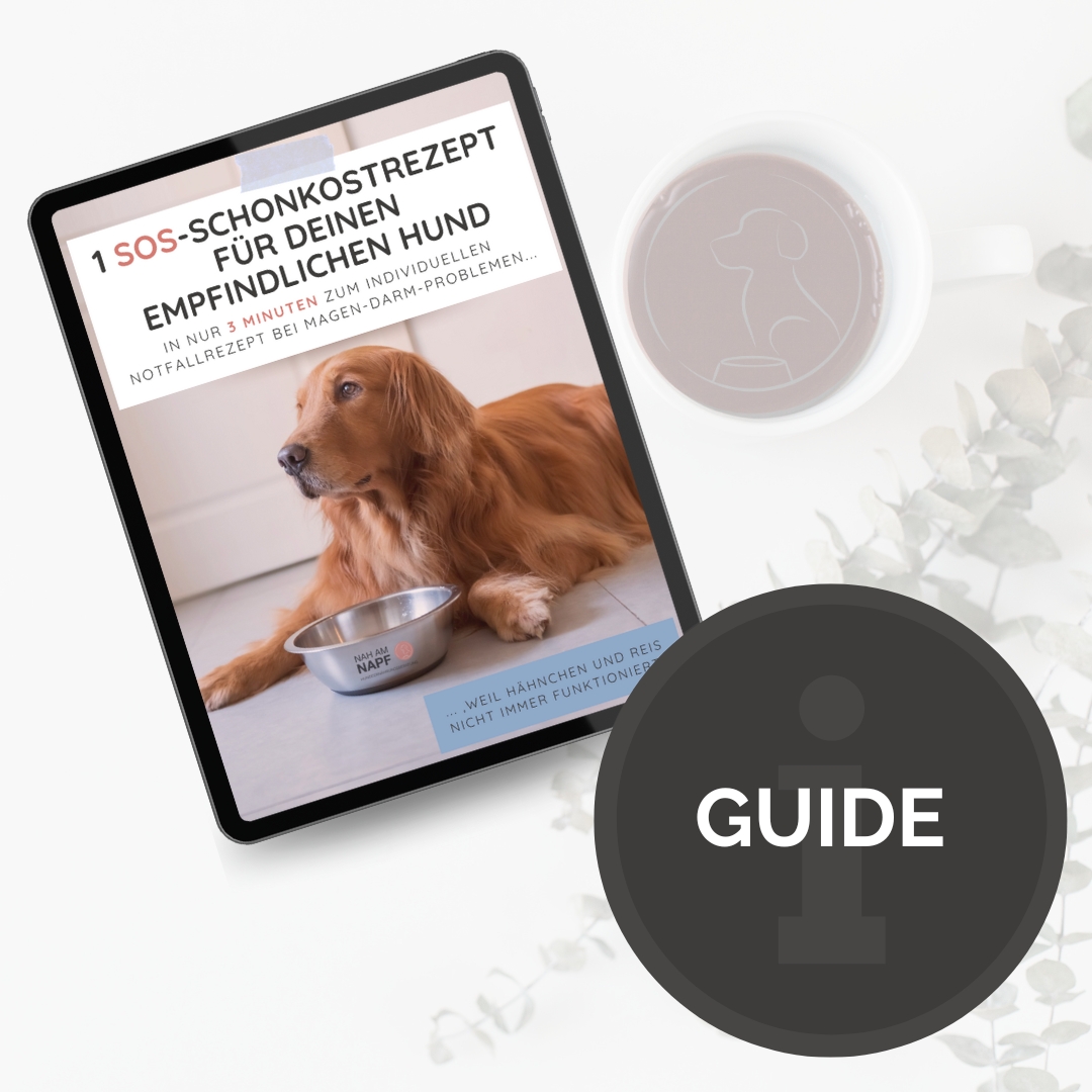 Mockup für Schonkost-Guide