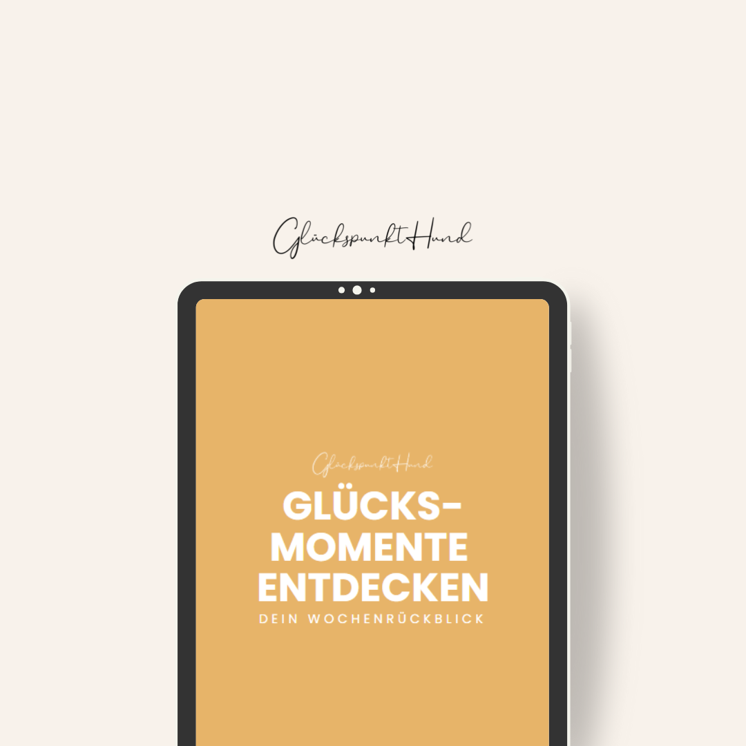 Cover Wochenrückblick