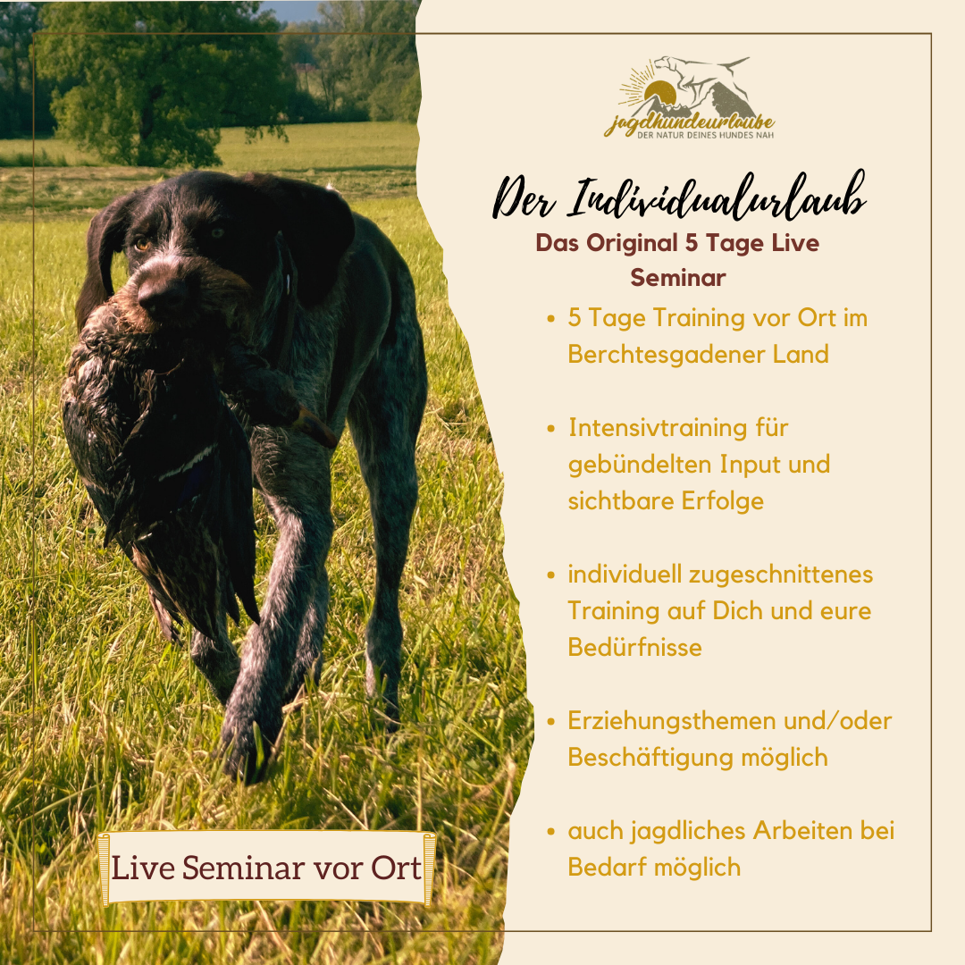 Individualurlaub-1080x1080.png