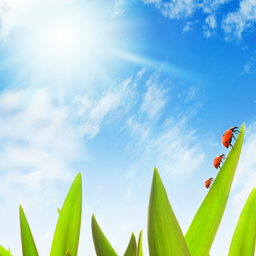 Trauergruppe für Mütter von Sternenkindern Jenseitskontakte 