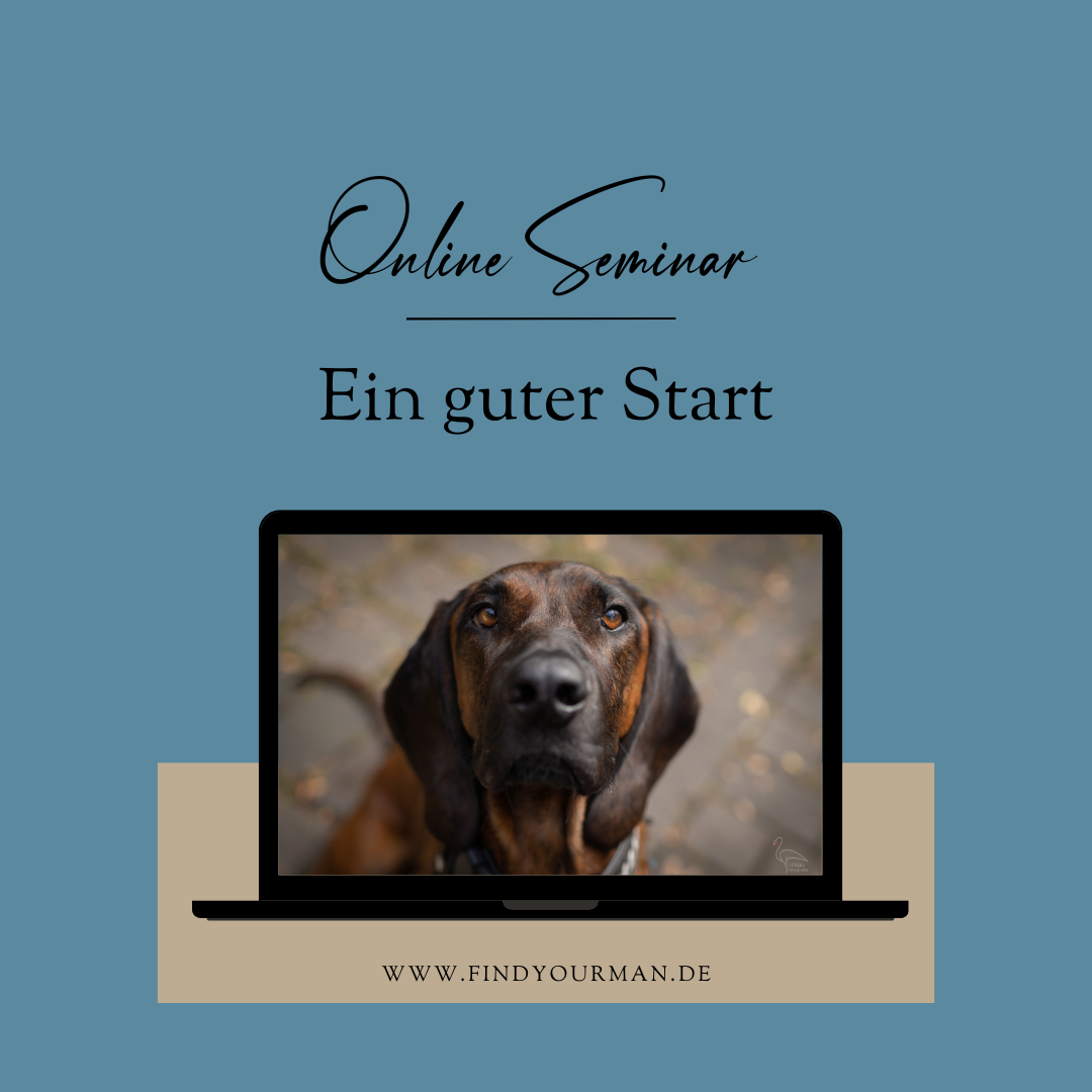 Ein guter Start-1080x1080.png