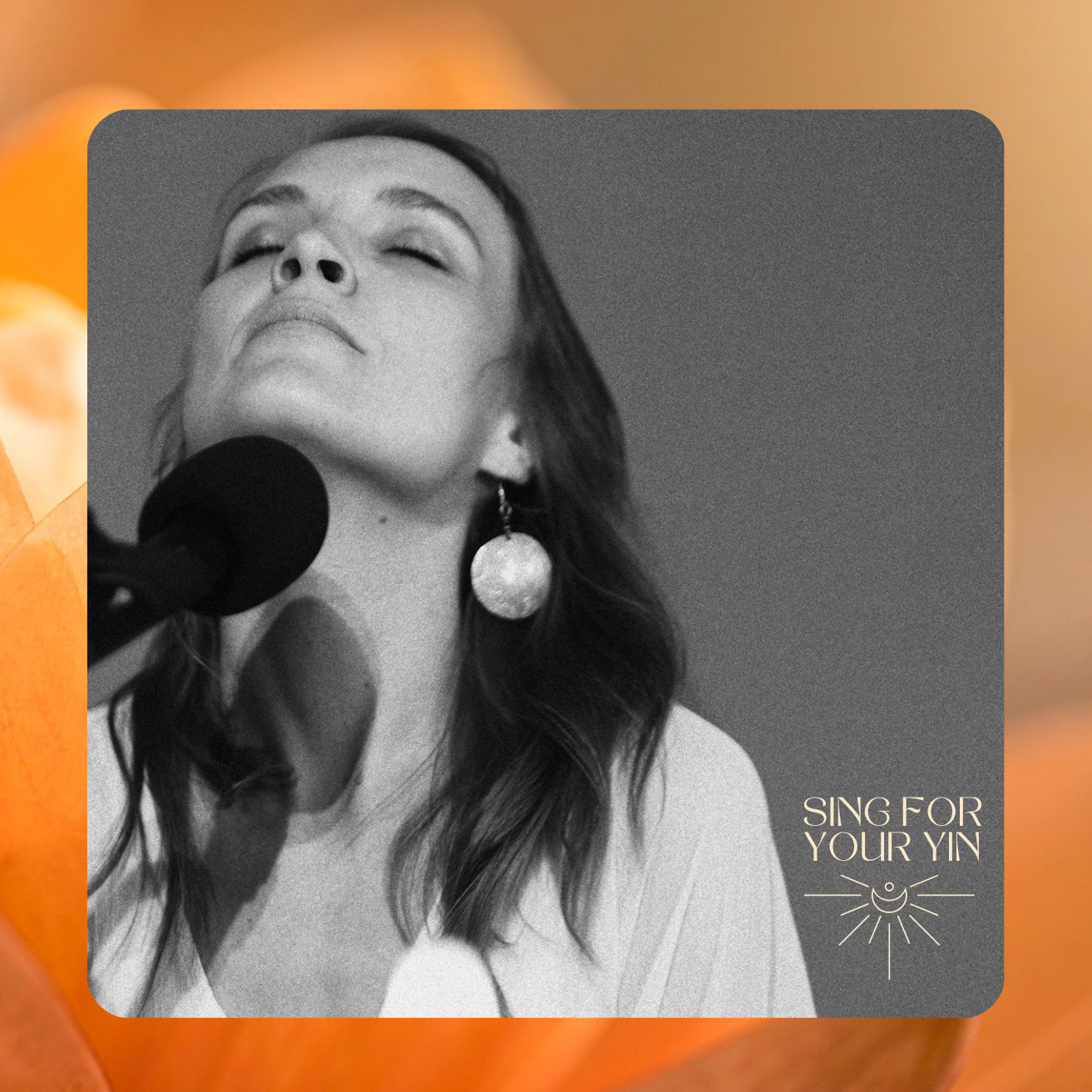 ablefy shop voice vision logo-1313x1313.png