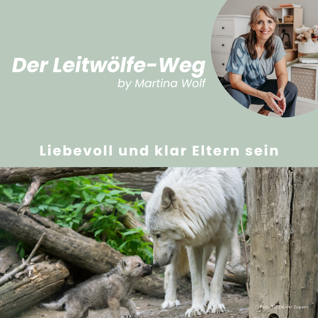 Leitwölfin mit ihrem Jungen liebevoll zugewandt Schnauze an Schnauze. Darüber die Anbieterin, Martina Wolf
