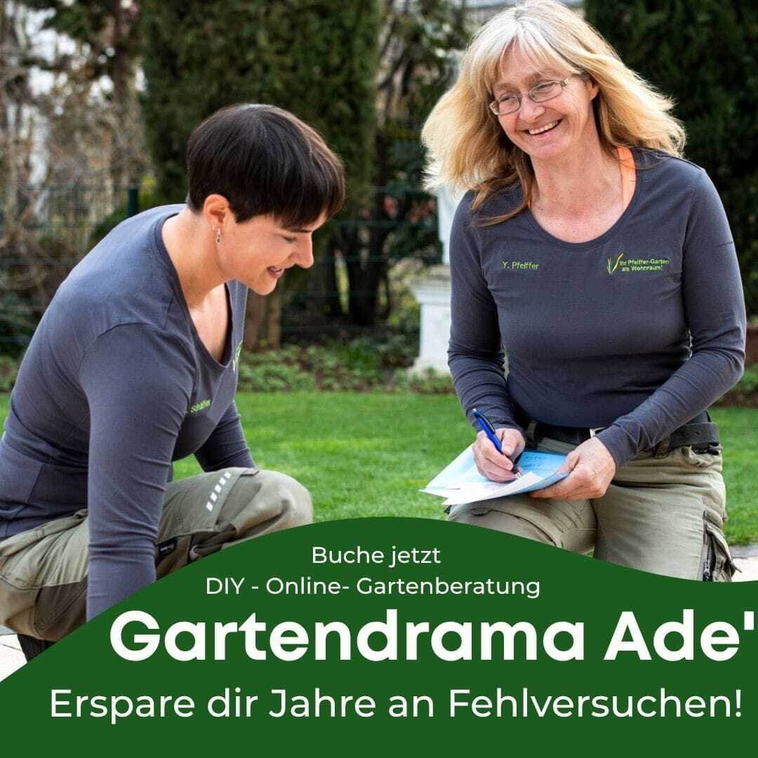 Online Gartenberatung-1080x1080.jpeg