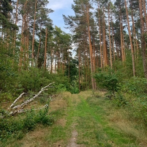 Yogaravensberge-480x480.jpg