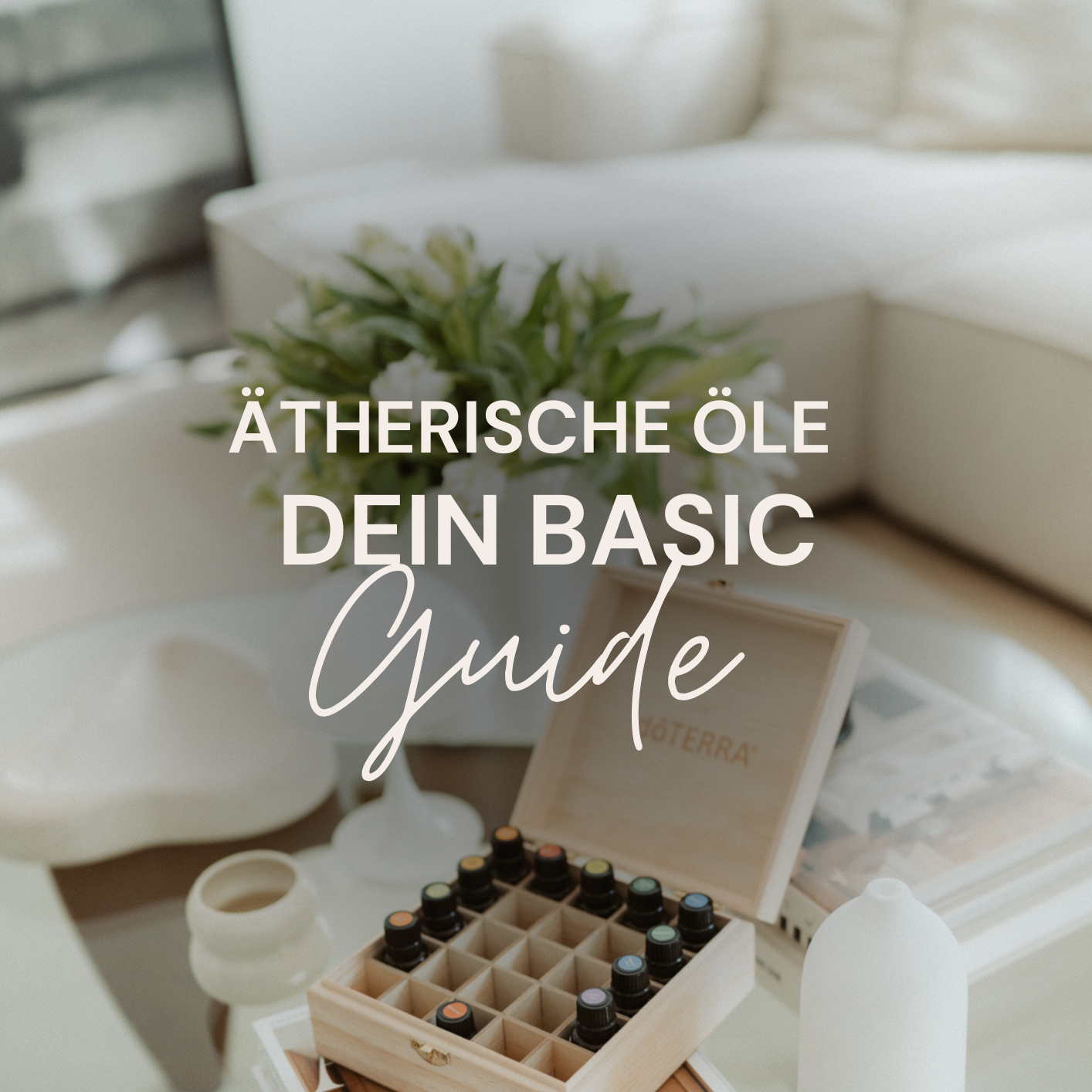 Basic kostenlos-1414x1414.png
