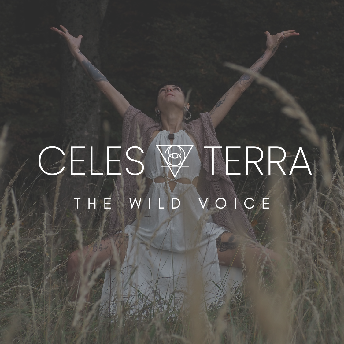 Celesterra (8)-1125x1125.png