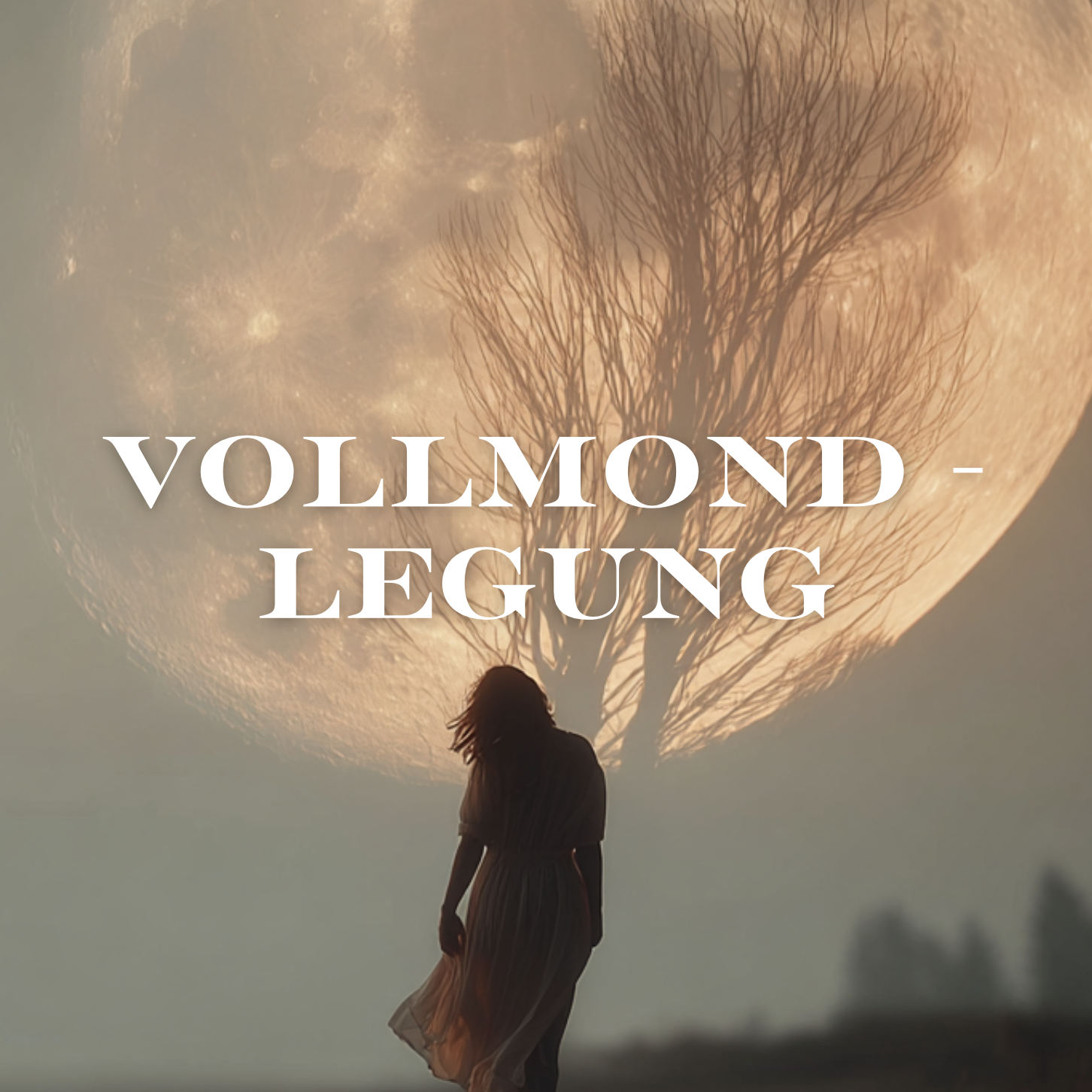 Bildschirmfoto 2026-04-01 um 23.14.50-1452x1452.png