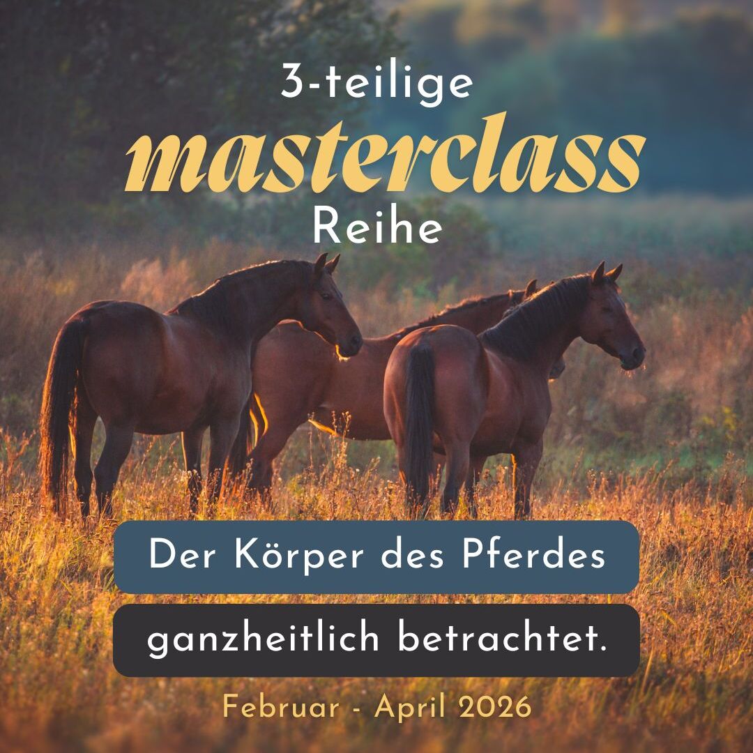 ter (2)-1080x1080.jpg