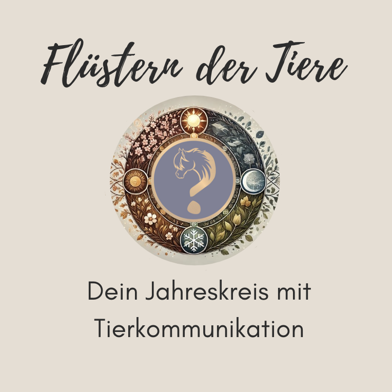 Bildschirmfoto 2025-01-29 um 10.25.28-764x764.png