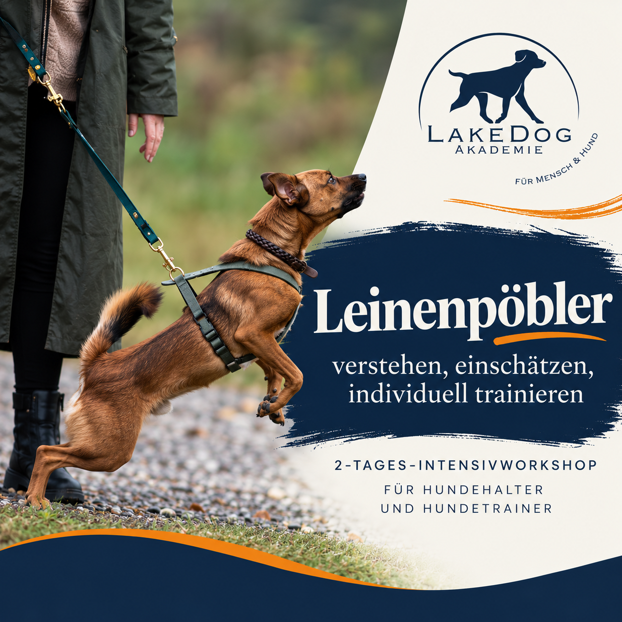 Leinenpöbler verstehen und trainieren-1254x1254.png