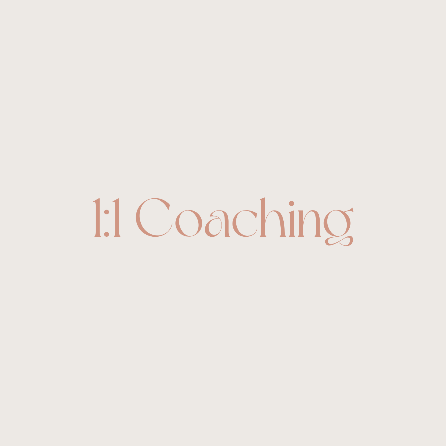 1:1 Coaching  60 Minuten