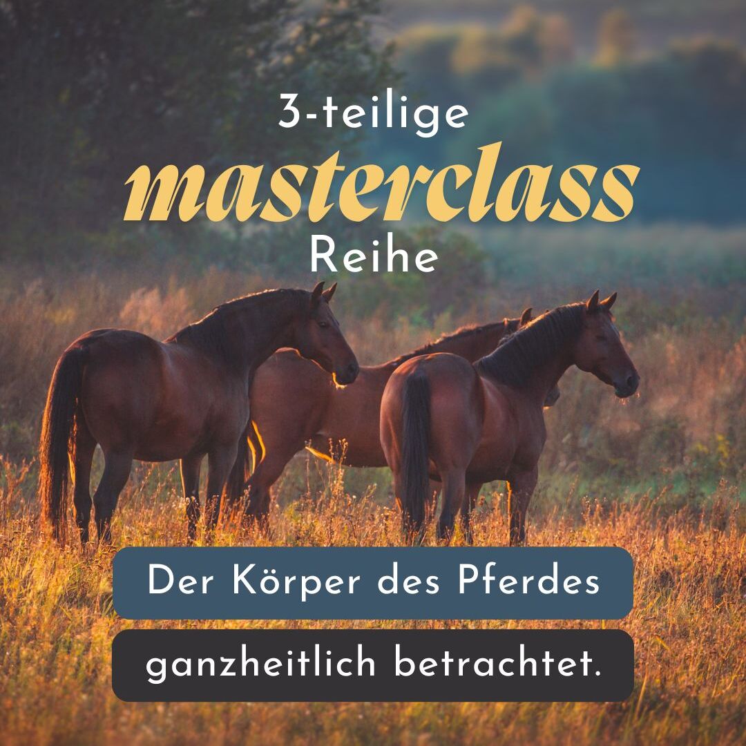 Masterclass Reihe Post-1080x1080.jpg