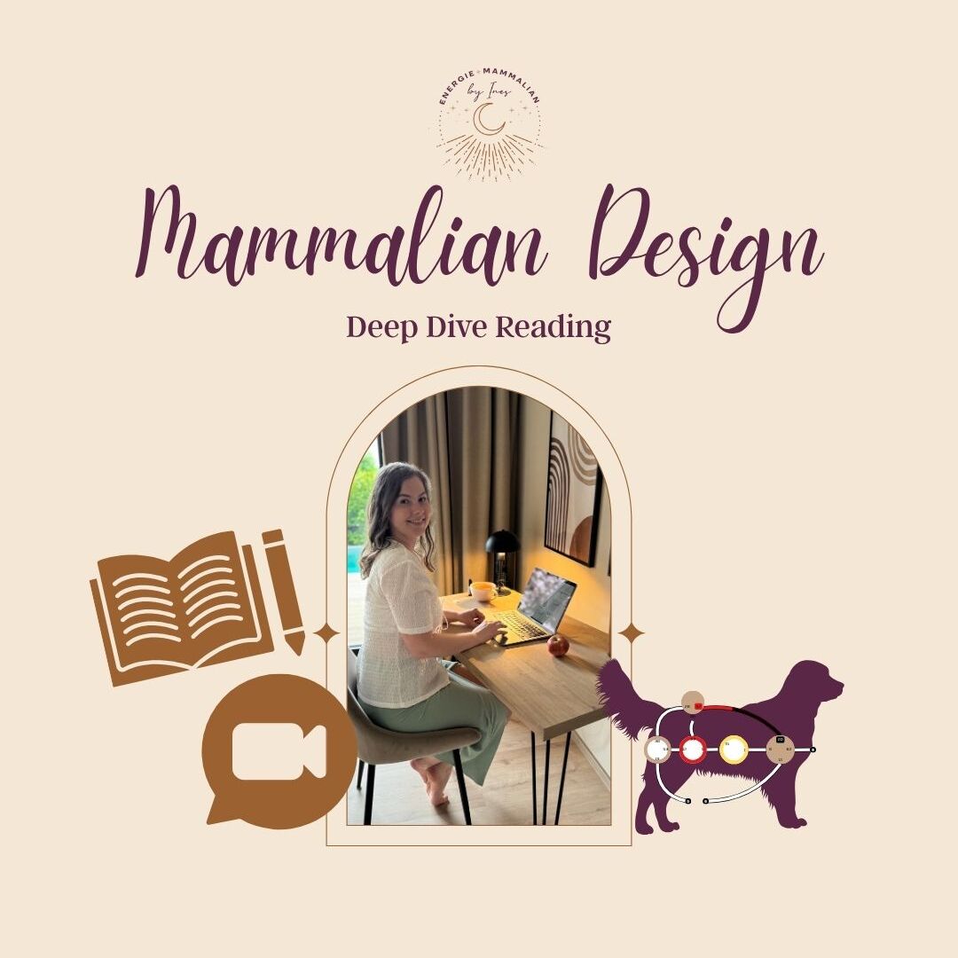 Produktbild Deep Dive Reading