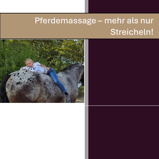 Cover Pferdemassagebuch-544x544.png