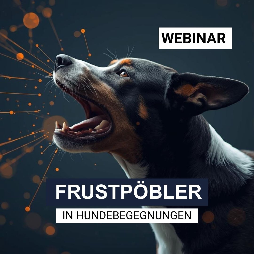 Webinar FP klein-1080x1080.jpg