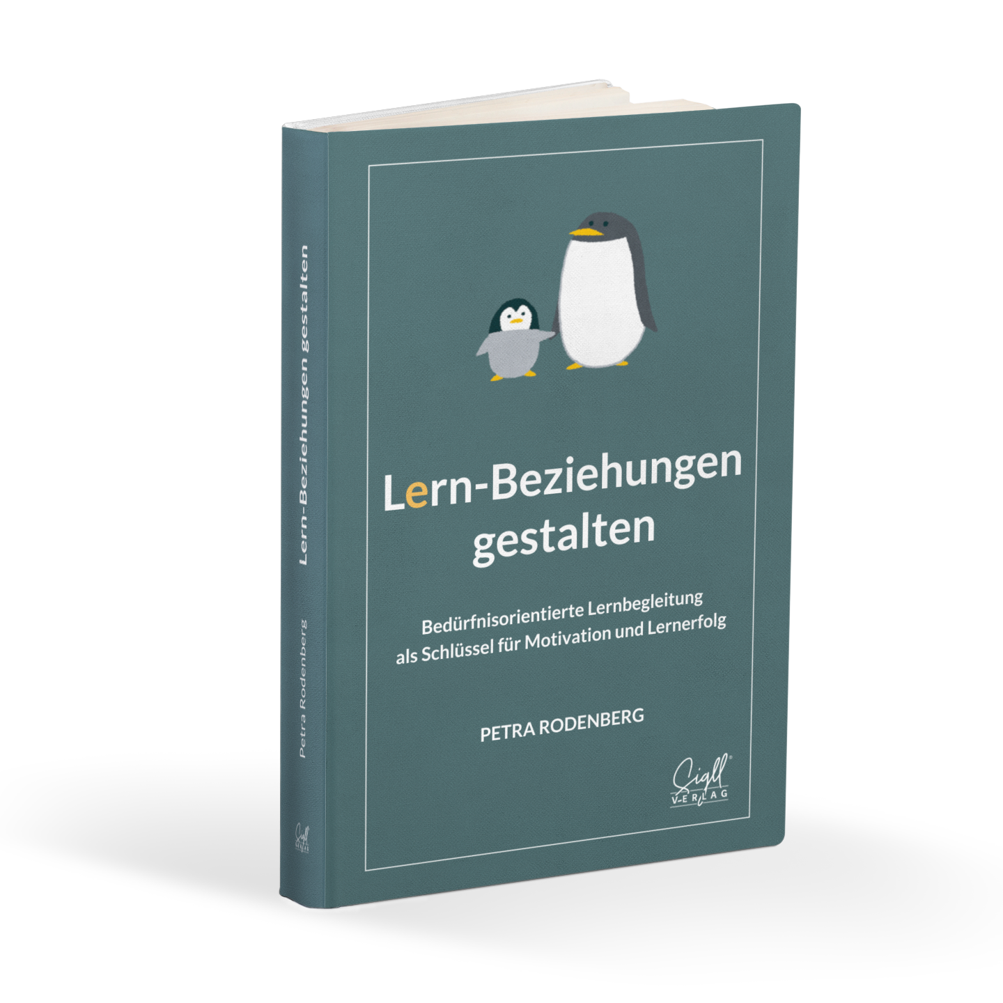 Buch Lern-Beziehungen gestalten-1440x1440.png