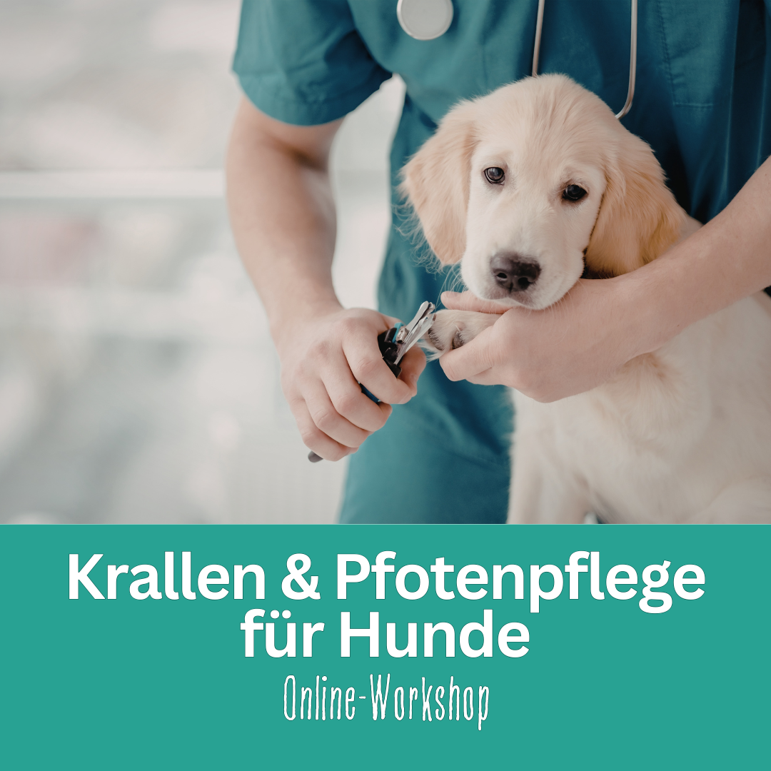 Krallen Titel-1080x1080.png