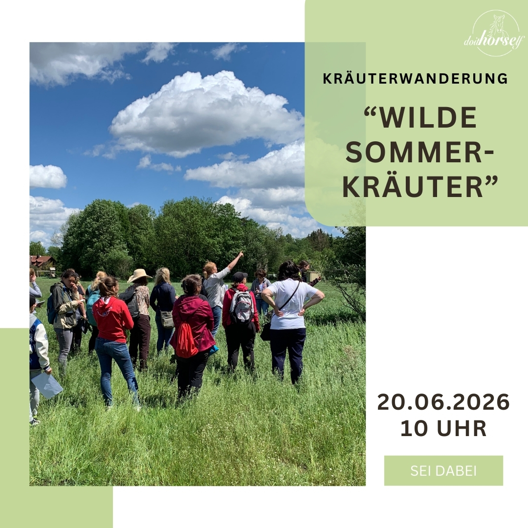 Vorlage_elopage_kurs (5)-1080x1080.jpg