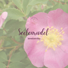 Produktbild Seelenrudel Membership