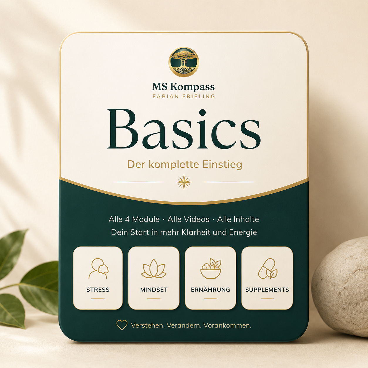 MS Kompass Basics