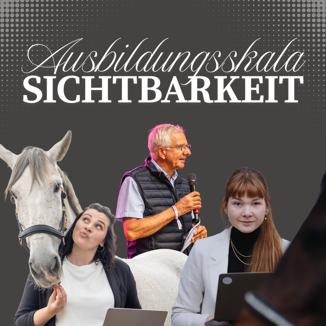 Coverbild Ausbildungsskala Sichtbarkeit-1080x1080.png