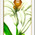 digital-icon