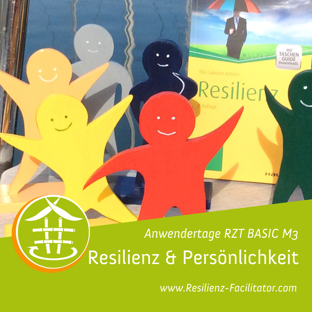 RZT BASICS Anwendertage M1: Das Bambus-Prinzip