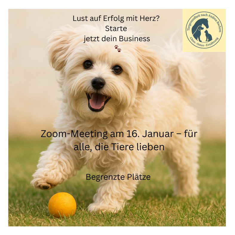 Lust auf mehr Erfolg mit Herz Zoom-Meeting am 5. Januar – für alle, die Tiere lieben 🐾-2-787x787.png