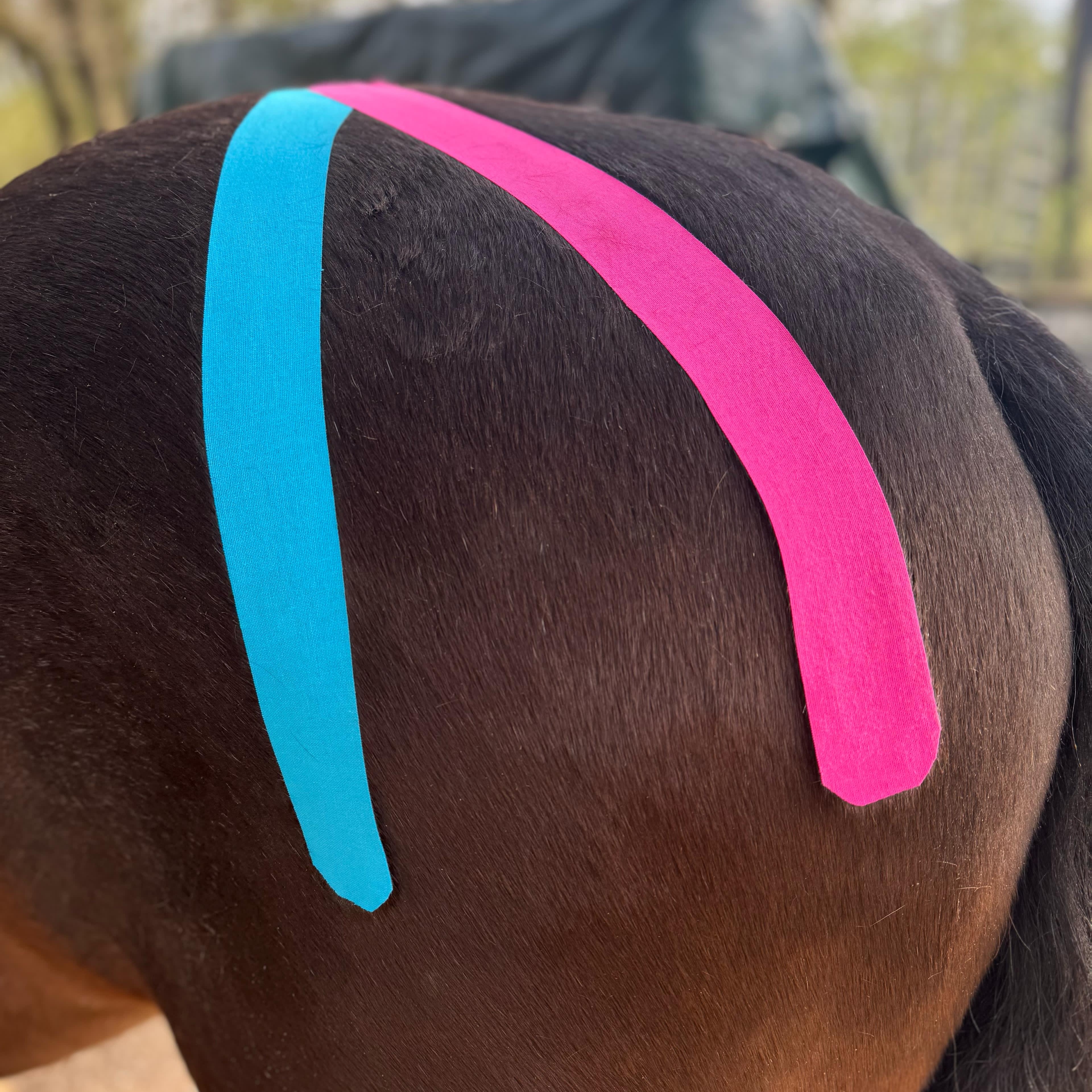 Kinesiotape Praxisseminar