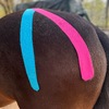 Kinesiotape Praxisseminar