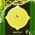 digital-icon