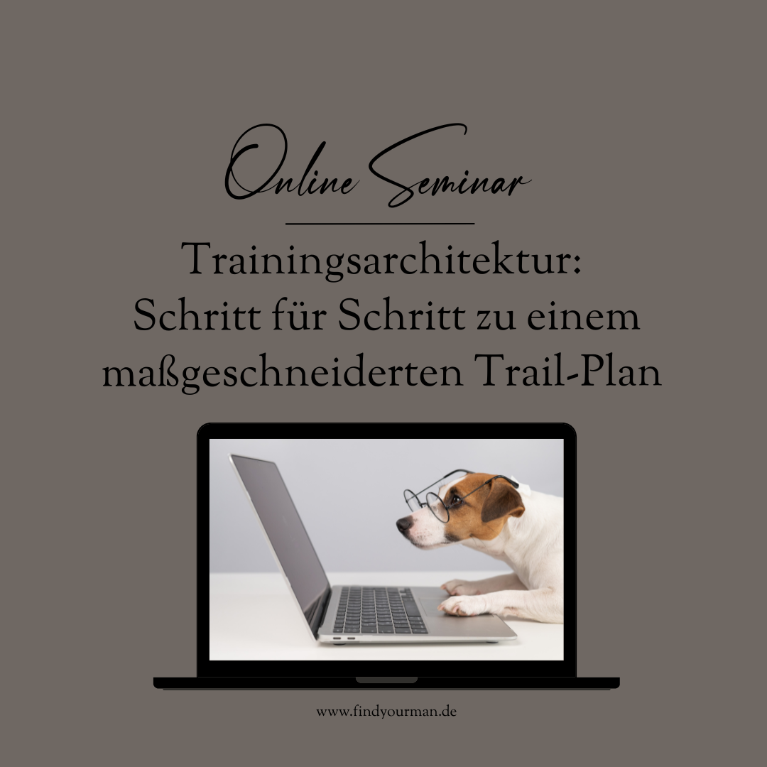Trainingsarchitektur-1080x1080.png