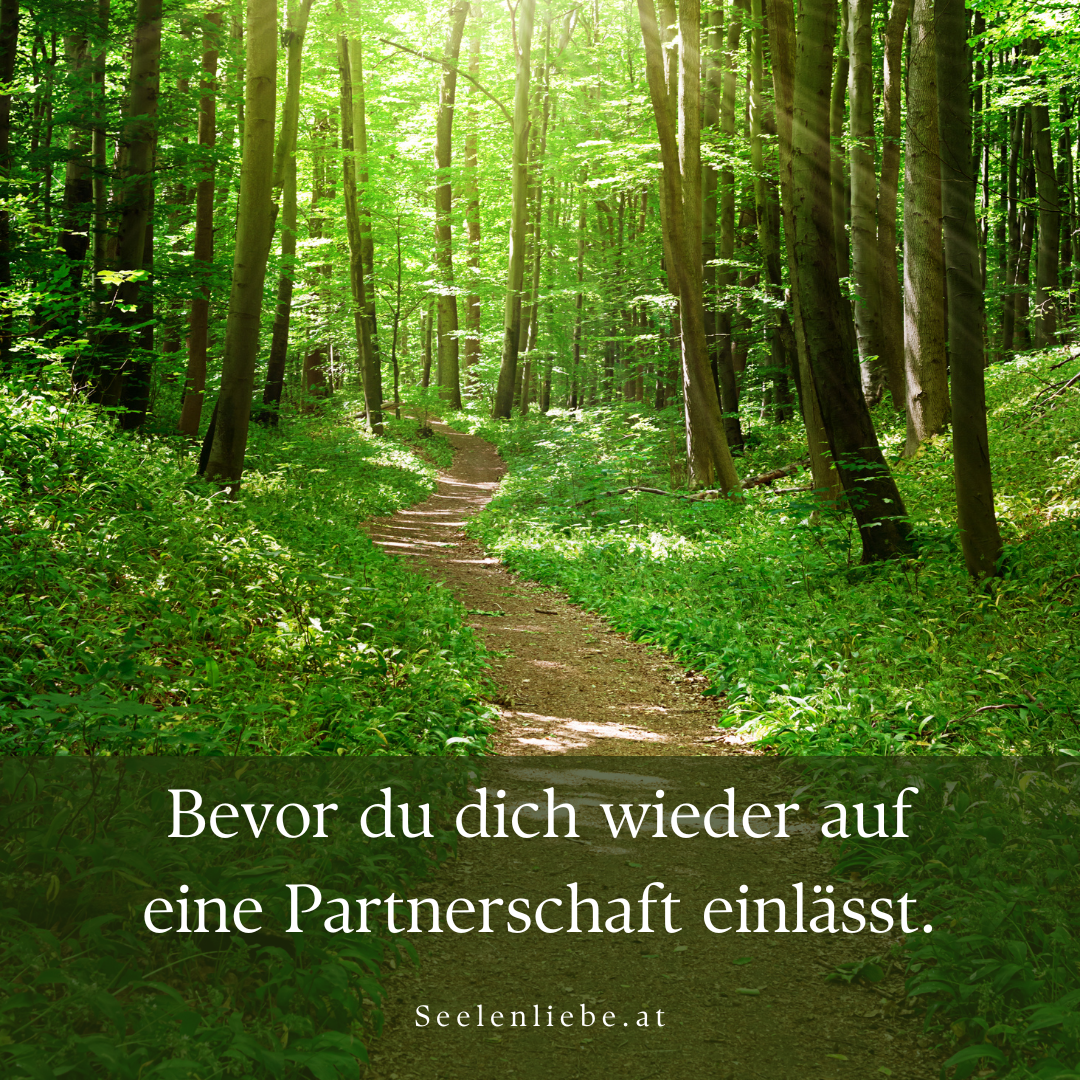 Bevor du dich wieder auf eine Partnerschaft einlässt.-1080x1080.png