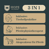 Fernstudium Tierheilpraktiker, Pferdephysiotherapeut, Akupunkteur für Pferde